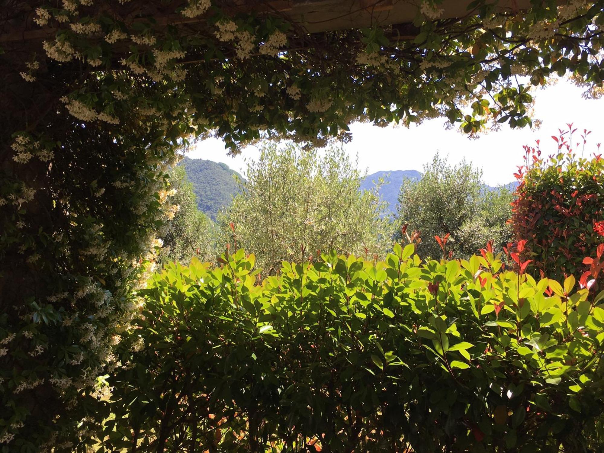 Agriturismo Tenuta La Fratta Bagni di Lucca Exterior photo