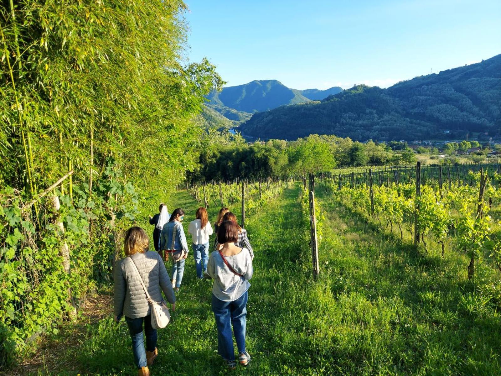 Agriturismo Tenuta La Fratta Bagni di Lucca Exterior photo